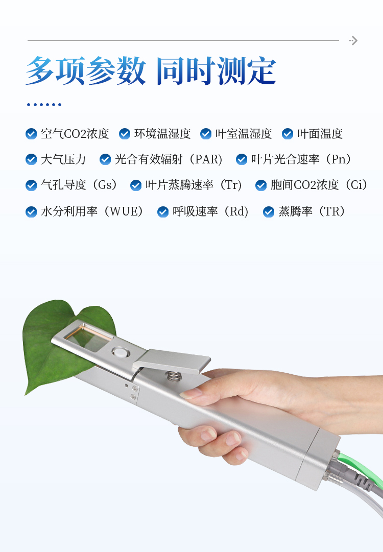 光合作用测定仪