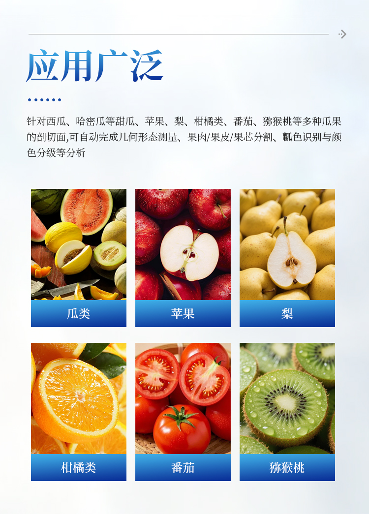 瓜果剖切面瓤色图像分析仪