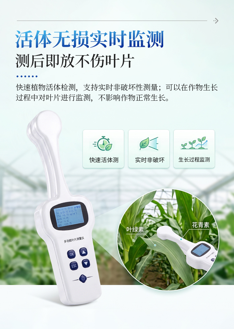 植物叶绿素&多酚测量仪 植物叶绿素&多酚测量仪
