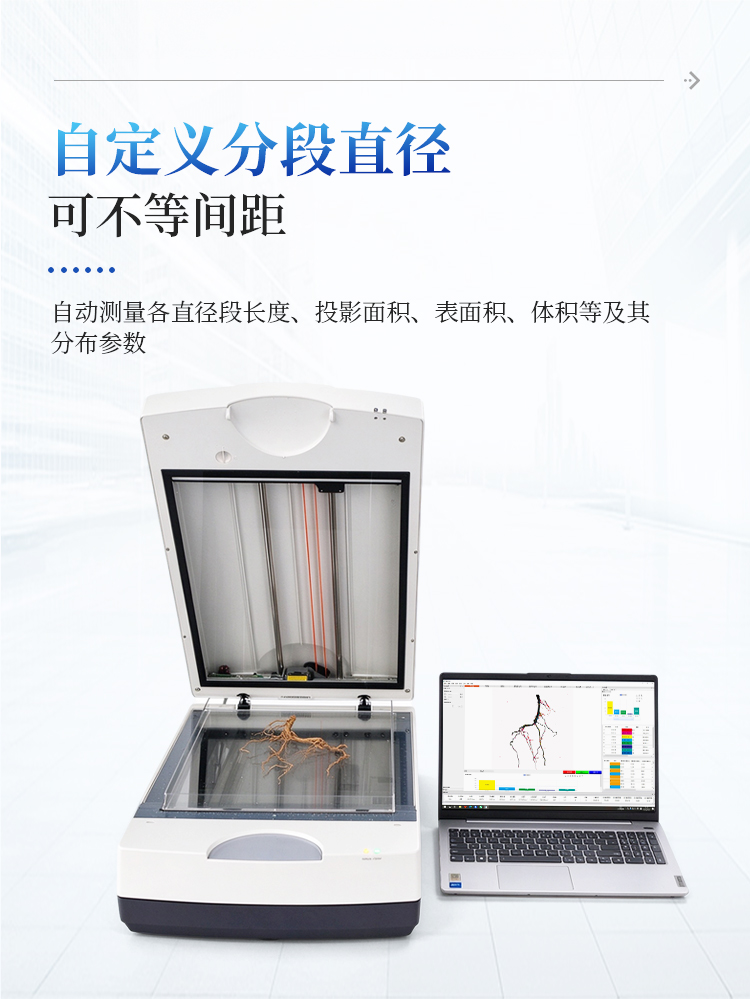 根系分析系统 根系分析系统