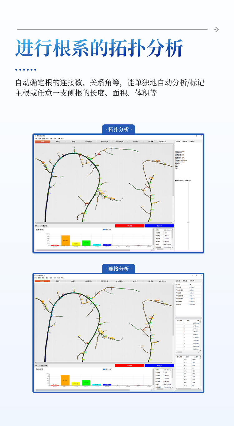 根系分析系统 根系分析系统