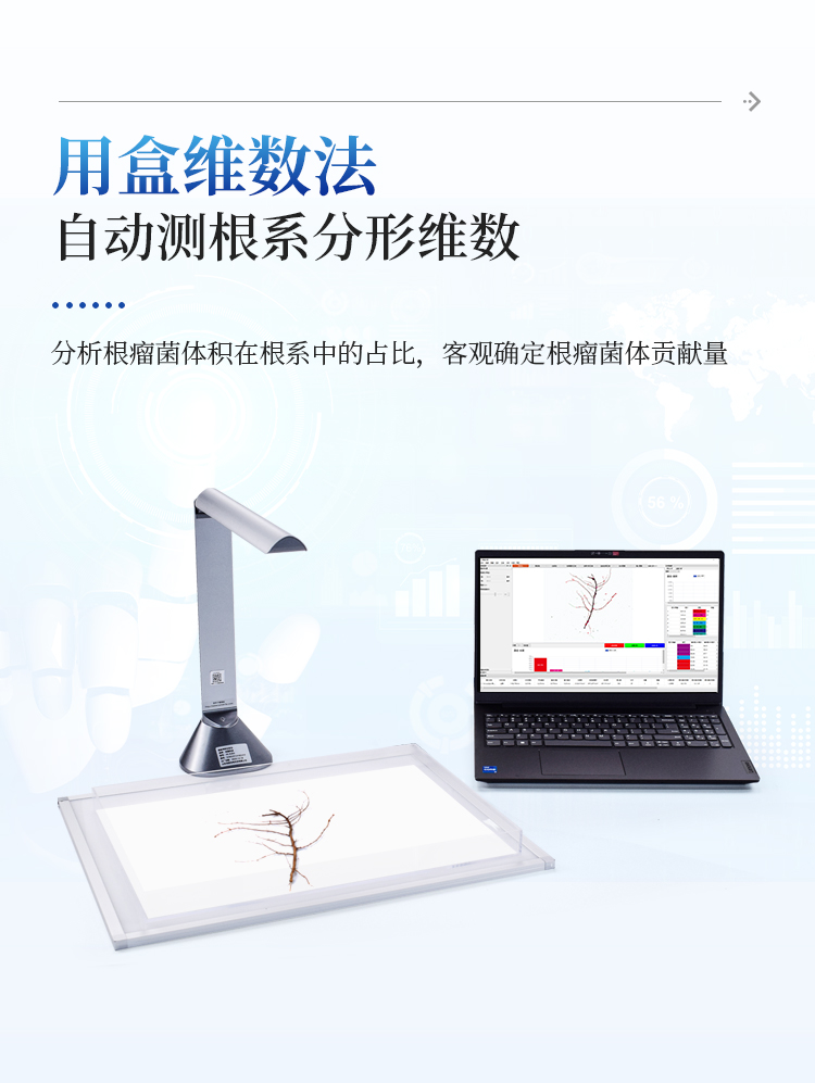 根系分析系统 根系分析系统